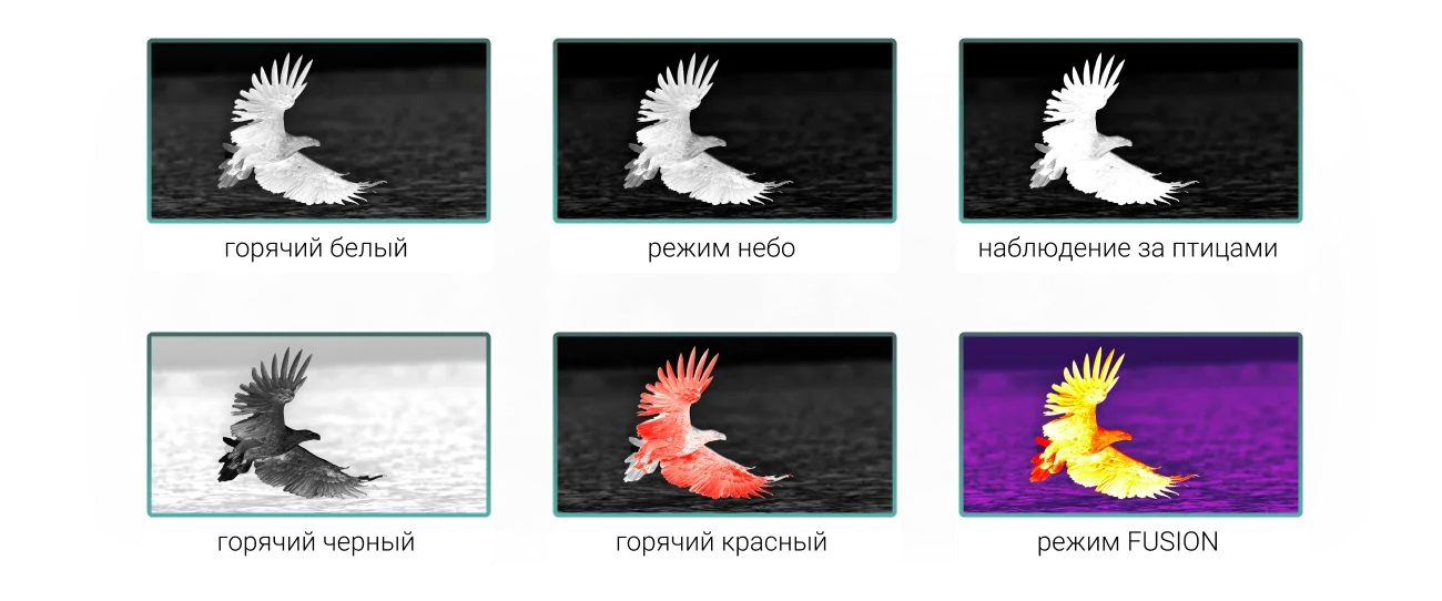 Цветовые палитры SFH VIGIL 19