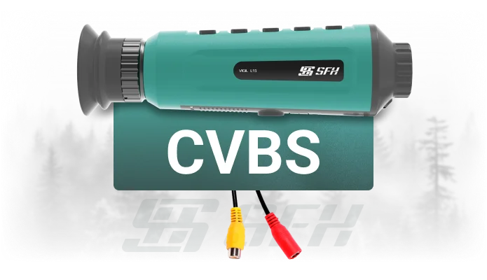 cvbs интерфейс
