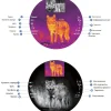 multispektralnyy-pritsel-pard-landsat-640-compact-la6c-45-70-850-lrf__88743.750x0 Мультиспектральный прицел Pard Landsat 640 Compact (LA6C-45/70/850/LRF) (с дальномером и креплением Picatinny)