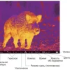 Мультиспектральный прицел Pard Landsat 640 Compact Q (LA6CQ-45/70/850/LRF) (с дальномером и креплением Picatinny)
