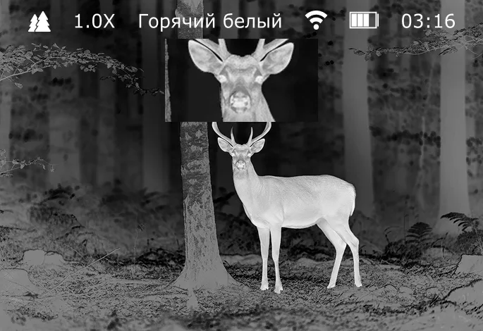 Режим картинка в картинке тепловизионного монокуляра