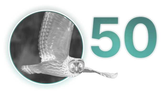 частота обновления кадров 50Hz